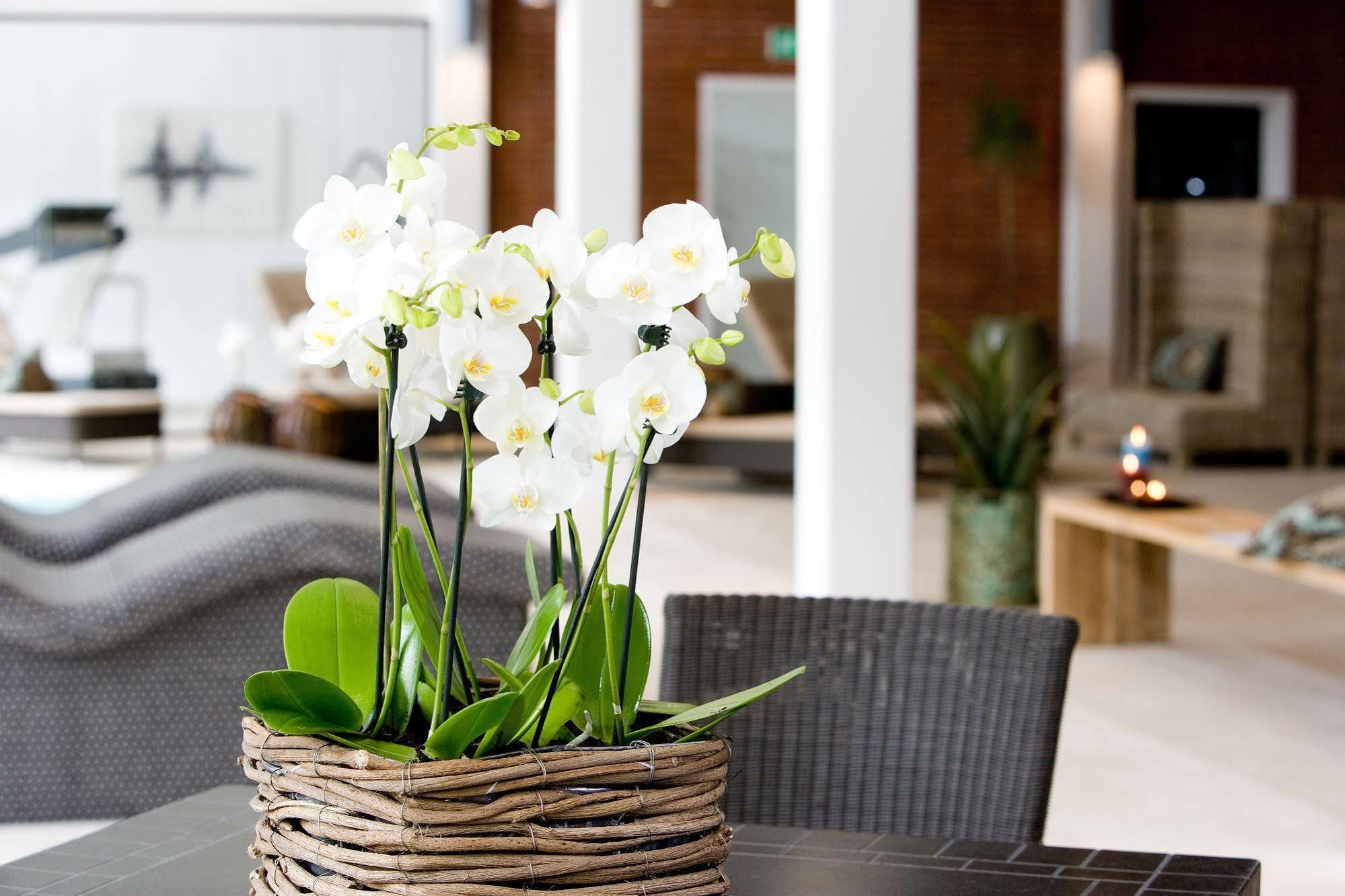 Hotel Hesselet Nyborg Bagian luar foto